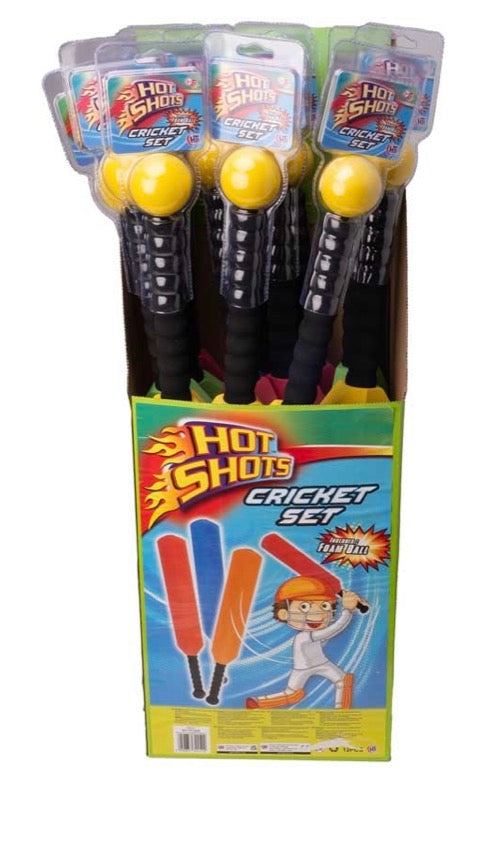Cricket Bat with Ball