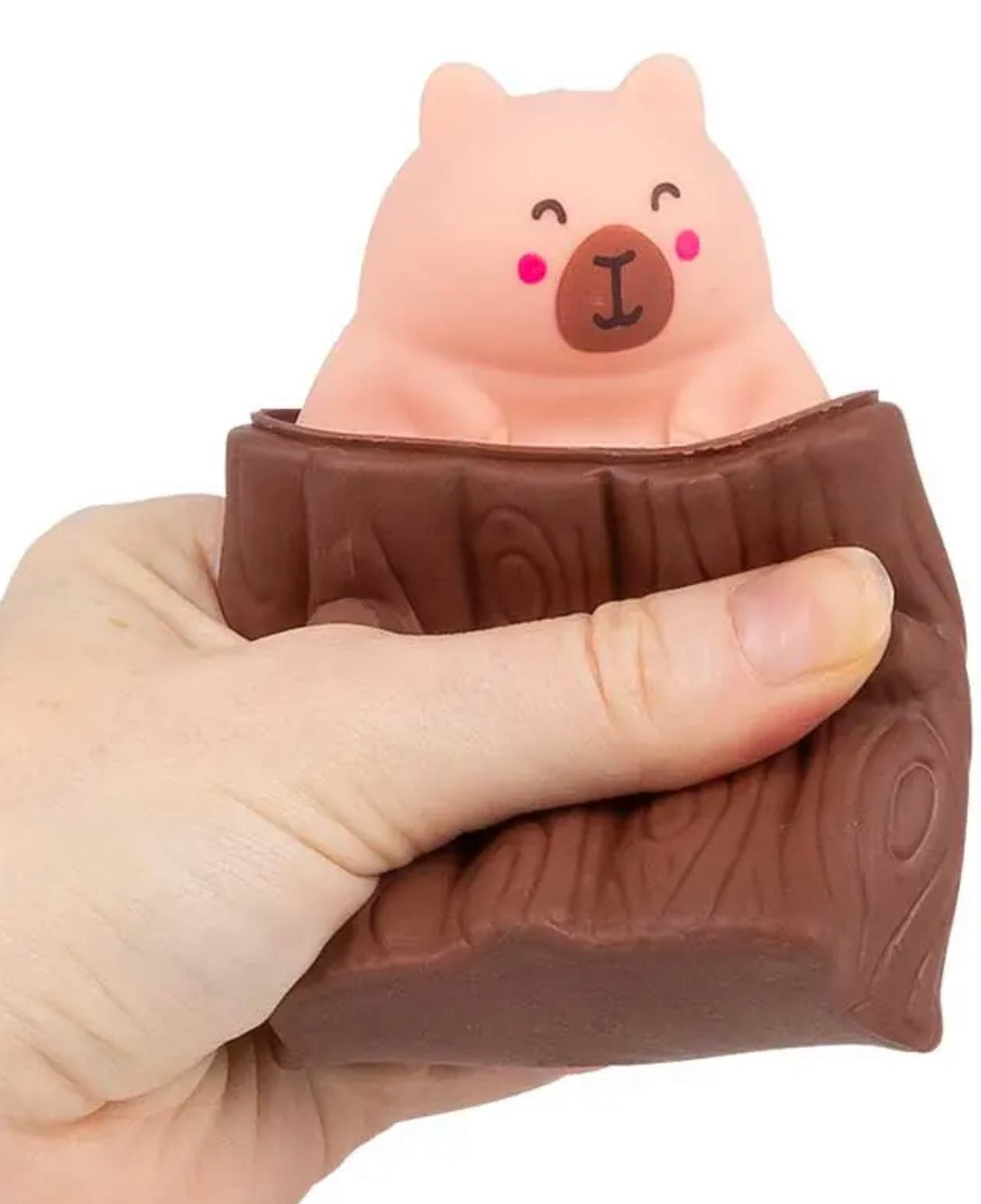 Pop up squeezy Capybara