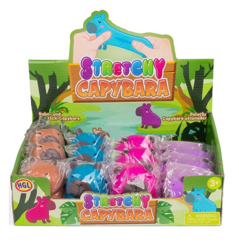 Stretchy Capybara Assorted