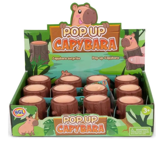 Pop up squeezy Capybara